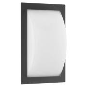 Ivett utendørs LED-vegglampe, grafitt, bevegelsessensor