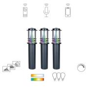 Müller Licht tint Petunia LED-gatelampe sett med 3 stk