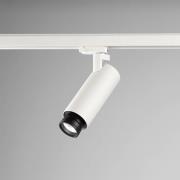 EGG DLS track spot Kelly, 15 - 90°, 3 000K, hvit
