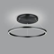 LED-hengelampe Lisa-D, ringformet, svart