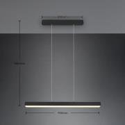 LED-pendellampe Paros DUOline, bjelke, svart