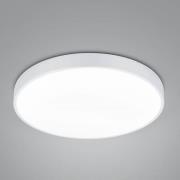 LED-taklampe Waco, CCT, Ø 49,5 cm, matt hvit