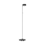 Puk Maxx Floor Mini LED-matt/klar, antrasitt matt