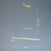 LED-pendellampe Tenso, messingfarget, lengde 100 cm, CCT