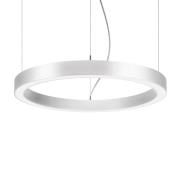 BRUMBERG Biro Circle, hvit, 830, 75 cm, DALI, opp/ned, 75 W