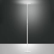 Regina LED-gulvlampe, hvit, CCT, dimbar, høyde 180 cm