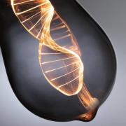 Paulmann LED-pære E27 3,5W Helix 1800K ST64 smoke