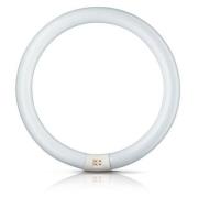 G10q 40W 830 lysstoffring Master Circular TL-E