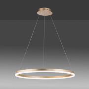 Paul Neuhaus LED-hengelampe Titus, Ø 80 cm, messing, dimbar