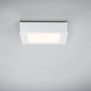 Paulmann Lunar LED-panel, kantet, hvit, 17x17cm