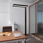 LED-gulvlampe MAULjuvis, svart, 196 cm dimbar