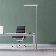 LED-gulvlampe MAULjaval, sølvfarget, 196 cm, dimbar fot