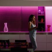 Philips Hue LightStripe Plus 1 m forlengelse