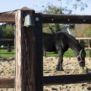 Utendørs vegglampe Offshore, IP44, rød aluminium