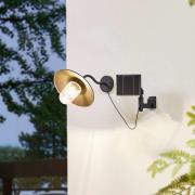 Lindby LED-solcellelampe Virane, svart, aluminium