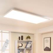 Arcchio LED-panel Arya, dimbar, 119 cm x 59 cm, metall