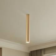 Downlight Eye, høyde 40 cm, messing