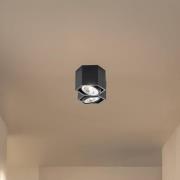 Taklampe Elvas svingbar med 2 lyskilder, svart