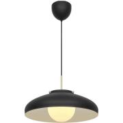 Latif pendellampe svart - DFTP