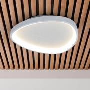 LED-taklampe Argesa Ø 60,5 cm, hvit, CCT, fjernkontroll