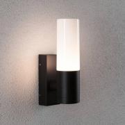 Paulmann utendørs vegglampe Tralia, antrasitt, høyde 25 cm IP44