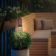 LED-batteridrevet LED-lampe med jordspyd RIFFLE NANO, antrasitt Ø 6 cm...