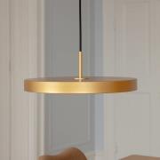 UMAGE LED-hengelampe Asteria Medium, messingfarget Ø 43 cm