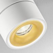 EGG DLS LED-downlight Clippo S Duo, 2 lyskilder, hvit-gull