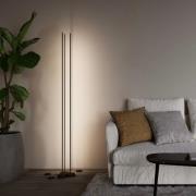 WEVER & DUCRÉ LED-gulvlampe Finlin svart 2700 K dimmer