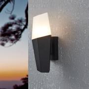 Utendørs vegglampe Farindola i svart/hvit