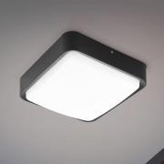 EGLO connect Piove-C utendørs LED-vegglampe