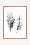 Poster Cozy Feathers 3