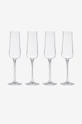 Mischa BillingChampagneglass 4-pk MischaNaturVinglassFra Homeroom