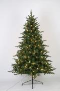 NORDFORMChristmas Tree M/290LED H210Cm M/AdaptorGrønnDekorativ julebel...