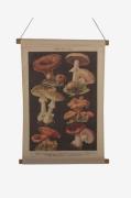 NORDFORMVeggoppheng SvampNaturPosters, bilder & skiltFra Homeroom