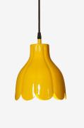 PR HomePendellampe TulippaGulTakpendlerFra Homeroom