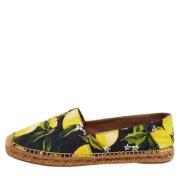 Pre-owned Flerfarget stoff Dolce & Gabbana Espadrilles