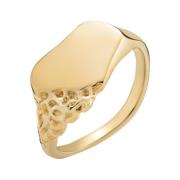 Sawyer Ring - Gold