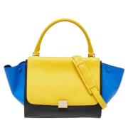 Pre-owned Flerfarget skinn Celine Tote