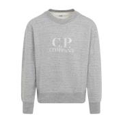 Grå Sweatshirt for Menn Aw24