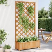 vidaXL Plantekasse med espalier brun heltre gran