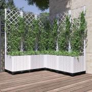 vidaXL Plantekasse med espalier hvit 120x120x136 cm PP