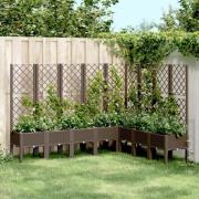 vidaXL Plantekasse med espalier brun 200x160x142 cm PP