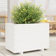 vidaXL Plantekasse hvit 70x40x49,5 cm heltre furu