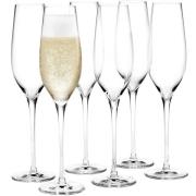 Holmegaard Cabernet Champagneglass 29 cl 6 stk, Klar