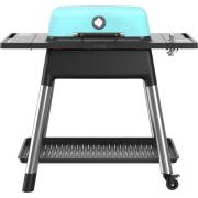 Everdure Gassgrill E2G2M force, matt mint