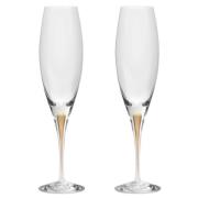 Orrefors Intermezzo champagneglass gull, 2 stk