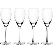 Mareld Champagneglass 16 cl, 4 stk