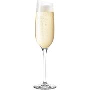 Eva Solo Champagneglass 20 cl, 1 stk