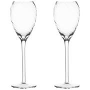 Byon Opacity champagneglass 16 cl 2-pakning, klar